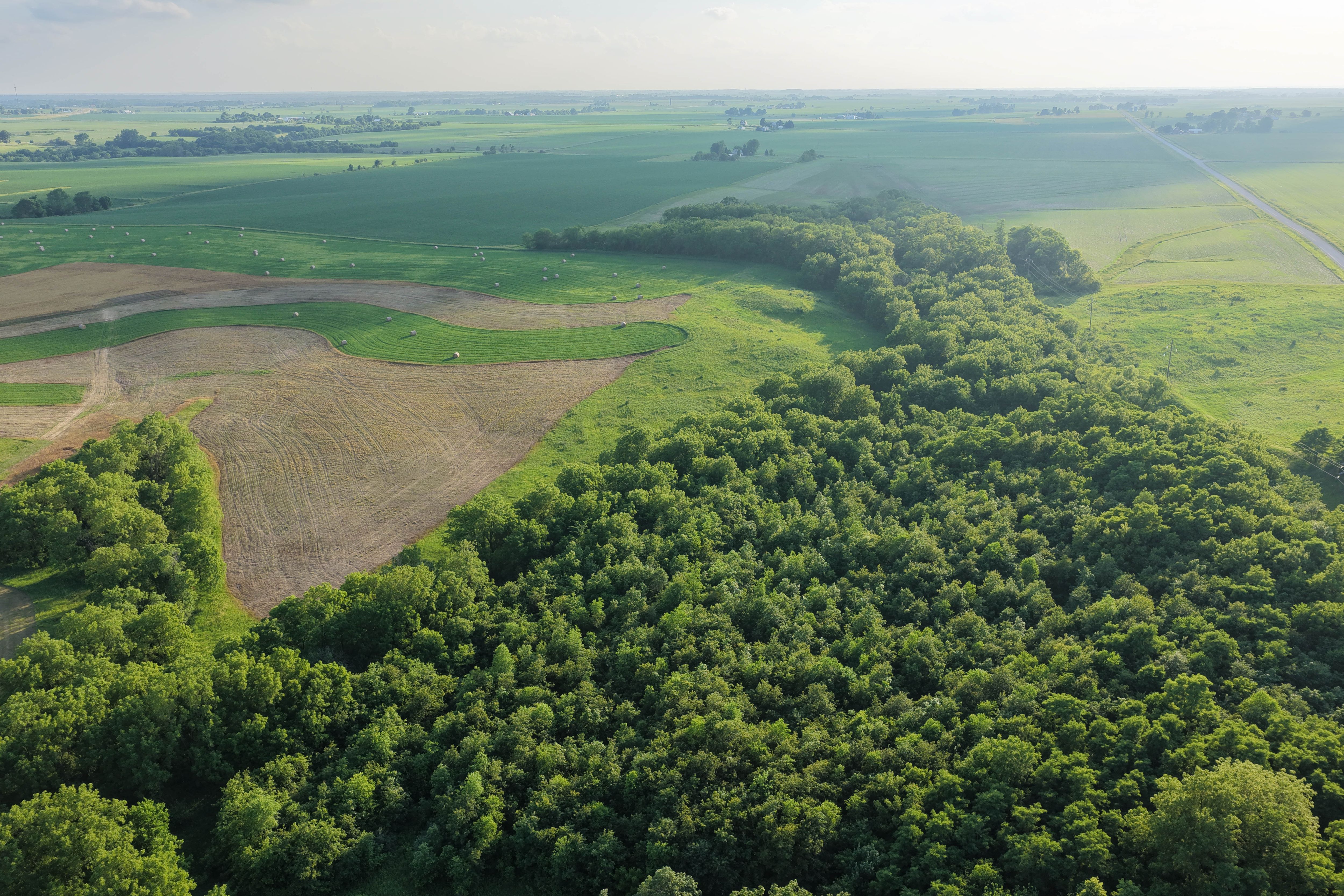Listing Photo: Muscatine County Iowa Recreational Farm with Income-98